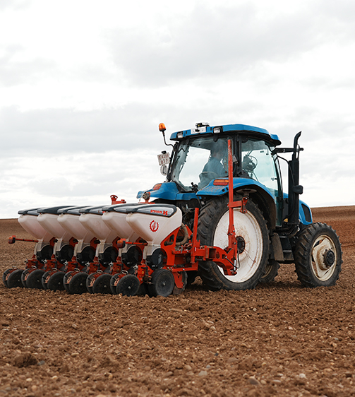 Seamless Connectivity