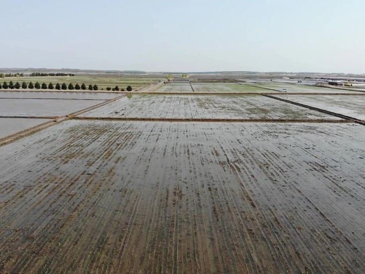 Planteuse de riz équipée du système de guidage automatique CHCNAV