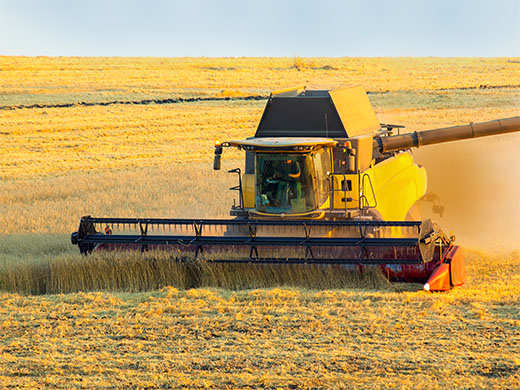 Sprzęt CHCNAV usprawnia zbiory, zmniejszając straty plonów, nawet w warunkach ograniczonej widoczności.